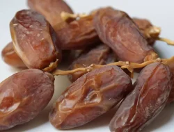 Selain Sunnah, Kurma Memiliki Berbagai Manfaat Untuk Kesehatan Loh