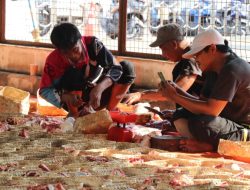 DLH DKI Jakarta Imbau Pelaksanaan Kurban Terapkan Eco Qurban