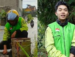 Modal Rp 500 Ribu, Driver Ojol Secara Sukarela Menambal Jalan Berlubang