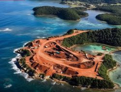 APNI Himbau Masyarakat Jangan Termakan Gambar AI Terkait Kerusakan Raja Ampat