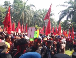 Gelar Aksi Unjuk Rasa, Serikat Tani Indramayu Tuntut Perlindungan dan Pemberdayaan Petani