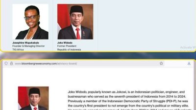 Joko Widodo Resmi Menjadi Anggota Dewan Penasihat Global Bloomberg New Economy