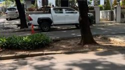 8ef35aab d2c5 4f79 af6f 992db1ebeaa7