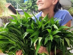 Christina Aryani, Wakil Menteri KP2MI yang Gemar Berkebun di Sela Kesibukan