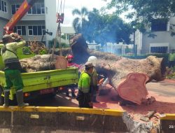 Evakuasi 524 Penumpang MRT Jakarta Akibat Pohon Tumbang di Jalan Sisingamangaraja