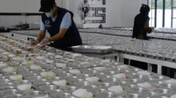 Dugaan Keracunan Massal, SDN Meruya 01 Hentikan Sementara Pasokan Makan Bergizi Gratis 5 IMG 20251101 170628 750 2665307970