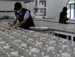 Dugaan Keracunan Massal, SDN Meruya 01 Hentikan Sementara Pasokan Makan Bergizi Gratis