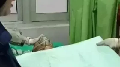 IMG 20251117 184517 3564984105