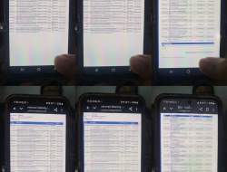 Mutasi Rekening Bongkar Skema Ponzi WO ‘By Ayu Puspita’, Uang Katering Menguap Jadi Cicilan Rumah dan Kopi Mewah