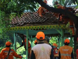 Penertiban Terpadu Dilaksanakan untuk Mengamankan Aset BMD Taman Gantara Jakarta Selatan