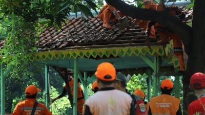 IMG 20251211 WA0005