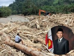 Terkuak, Bupati Tapsel Sebut Kemenhut Buka Izin Penebangan Pohon Bulan Oktober 2025