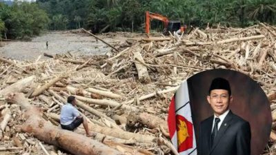 Terkuak, Bupati Tapsel Sebut Kemenhut Buka Izin Penebangan Pohon Bulan Oktober 2025