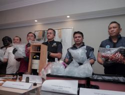 BNN RI Bongkar Peredaran Narkotika Modus Cairan Vape, Dua Warga Malaysia Ditangkap