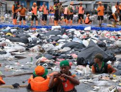 DLH DKI Angkut 137 Ton Sampah dari Pesisir Tanggul Laut Muara Baru