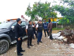 Aparat Gabungan Tegakkan Hukum Pembuangan Sampah Liar di Kawasan Muara Baru