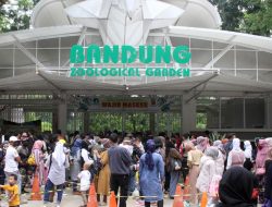 Bonbin Bandung di Ambang Konflik: Antara Ambisi RTH Farhan dan Hak Ahli Waris Pejuang Bangsa