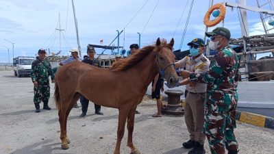 IMG 20260130 WA0001