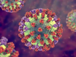 Cegah Penularan Superflu, Pemkot Jakbar Imbau Masyarakat Terapkan PHBS