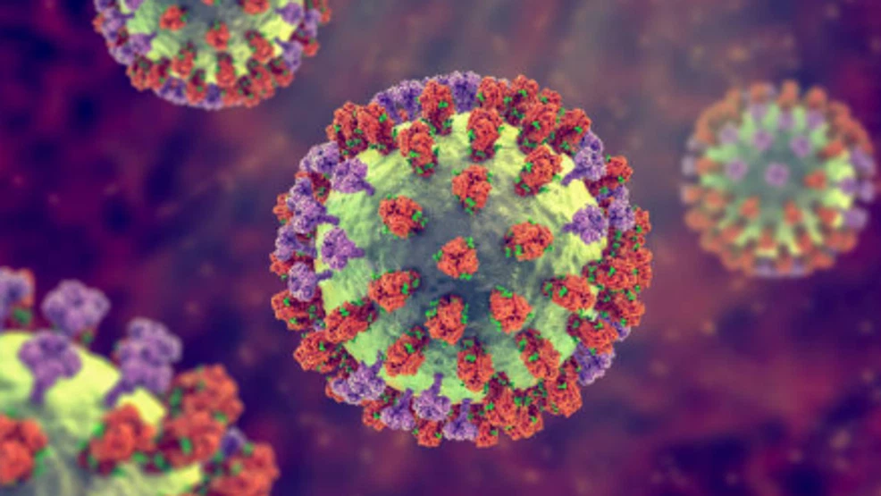 efa1e522 dfb9 490f 93e7 e743b71414b4 flu
