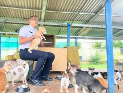 Suku Dinas KPKP Jakarta Timur Targetkan Sterilisasi 2.200 Ekor Kucing Tahun 2026