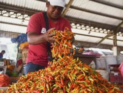 BPS DKI Sebut Perekonomian Jakarta Alami Deflasi 0,23 Persen pada Januari 2026
