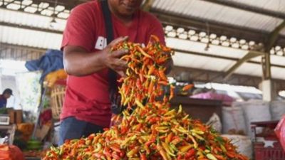 BPS DKI Sebut Perekonomian Jakarta Alami Deflasi 0,23 Persen pada Januari 2026