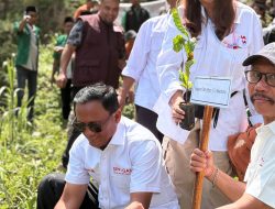 Manifestasi Cinta Indonesia: DPP GAN dan Jatubu Sukses Gelar Giat Tanam Pohon untuk Masa Depan Bumi yang Lestari