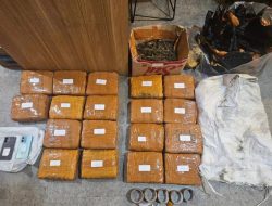 Polda Metro Jaya Gagalkan Peredaran 18,8 Kilo Ganja di Jakarta Barat