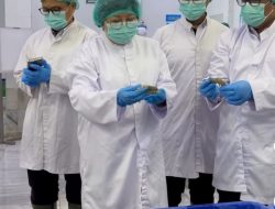 KKP Tingkatkan Pengawasan Mutu Produk Perikanan di Ramadan hingga Idul Fitri 2026