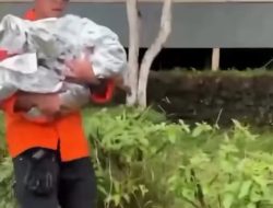 Balita Mengalami Hipotermia di Puncak Gunung Ungaran, BPBD Imbau Tak Ajak Anak Kecil Mendaki