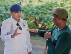 Kemenhut Perkuat Tata Kelola TN Komodo Melalui Kuota Adaptif, untuk Keseimbangan Ekologi dan Ekonomi
