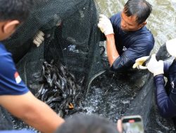Waspada Ikan Sapu-sapu! Sudin KPKP Jaksel Gelar Sidak ke Rumah Produksi Siomai