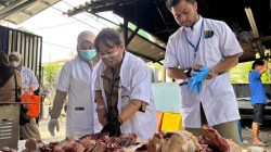 KPKP Kep Seribu Musnahkan 19 Kilogram Organ Hewan Kurban Tidak Layak Konsumsi