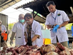 KPKP Kep Seribu Musnahkan 19 Kilogram Organ Hewan Kurban Tidak Layak Konsumsi