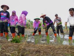 Perkuat Ketahanan Pangan, Jakarta Timur Gelar Aksi Tanam Bersama di 162 Titik