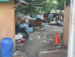 Bangunan Liar Kembali Bermunculan di Kolong Tol Jalan Profesor Dokter Latumeten