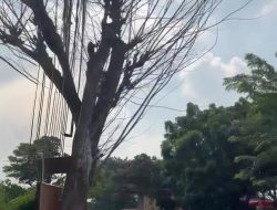 Umar Geram Namanya Disebut dalam Dugaan Pungli Bangunan di Jakarta Barat: Saya Akan Tempuh Jalur Hukum