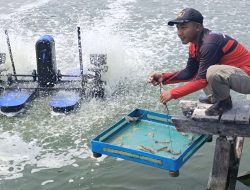 Potensi, Pengelolaan, dan Manfaat BUPK Bagi Masyarakat