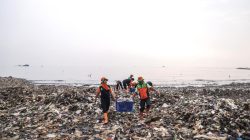 Gubernur Pramono Anung Perintahkan Pembersihan Rutin Sampah di Pesisir Muara Angke 2 1e7f8daa48585321d2e684b540d7f20e