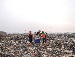Gubernur Pramono Anung Perintahkan Pembersihan Rutin Sampah di Pesisir Muara Angke