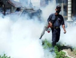 Angka Kasus DBD di Jakbar Menurun, Sudinkes Sebut Cuaca Masih Mendukung Perkembangbiakan Nyamuk