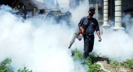 Angka Kasus DBD di Jakbar Menurun, Sudinkes Sebut Cuaca Masih Mendukung Perkembangbiakan Nyamuk 1 jasa fogging di cengkareng jakarta barat
