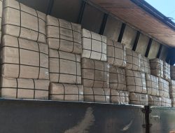 BNN, Bea Cukai, dan Polda Jatim Ungkap Jaringan Narkotika Internasional, Amankan 3,37 Ton Kuncup Bunga Cannabinoid