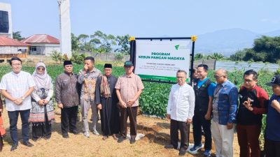 Dompet Dhuafa Luncurkan Kebun Pangan Madaya, Gerakan Pemberdayaan Wujudkan Ketahanan Pangan Berkelanjutan
