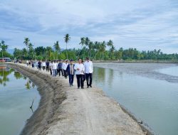 Targetkan 15.000 Hektare Tambak di Aceh Beropesi pada Akhir Tahun 2026
