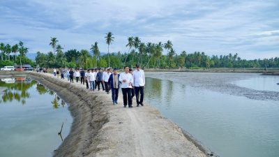 Targetkan 15.000 Hektare Tambak di Aceh Beropesi pada Akhir Tahun 2026