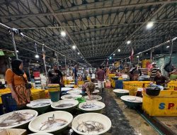 Musim Kemarau Bawa Berkah Melimpahnya Hasil Laut di Perairan DKI Jakarta