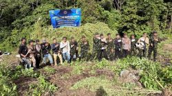 BNN Aceh Bersama Polres Nagan Raya Musnahkan 12 Hektar Tanaman Ganja di Kaki Pegunungan 5 IMG 20260818 WA0000