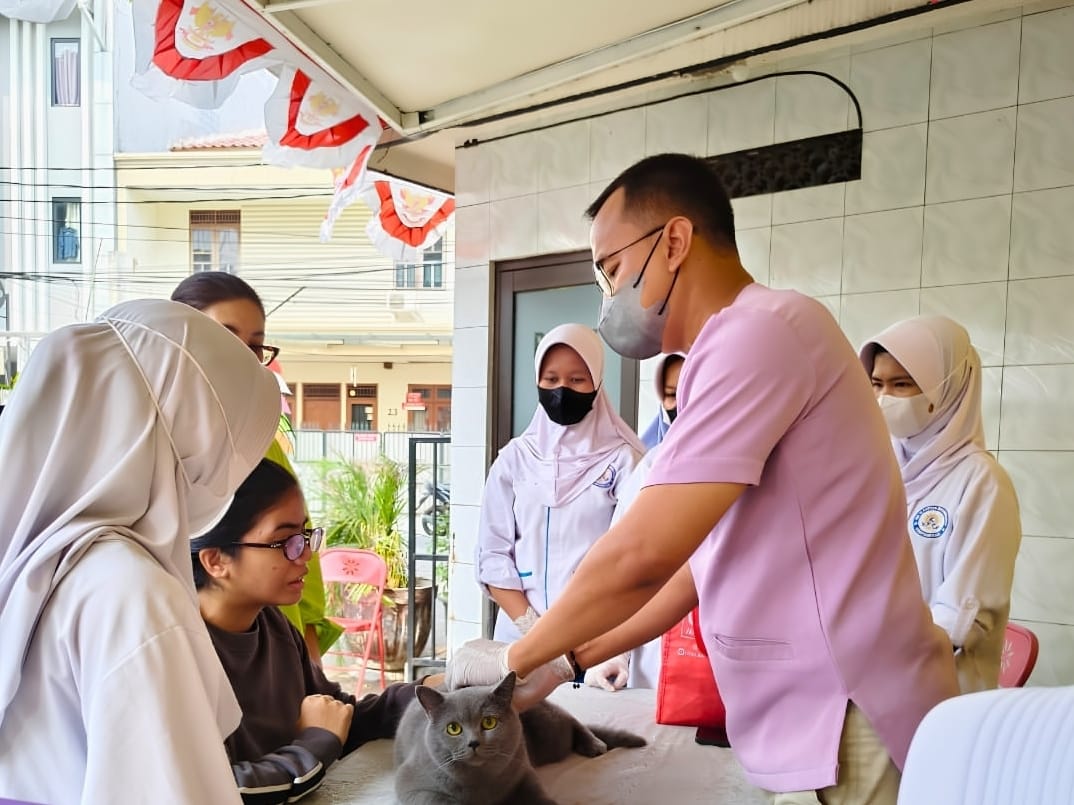 61 Dokter Hewan di Jakarta Selatan Belum Miliki Izin Praktik, KPKP DKI Lakukan Pembinaan dan Penertiban 1 IMG 20260826 WA0004